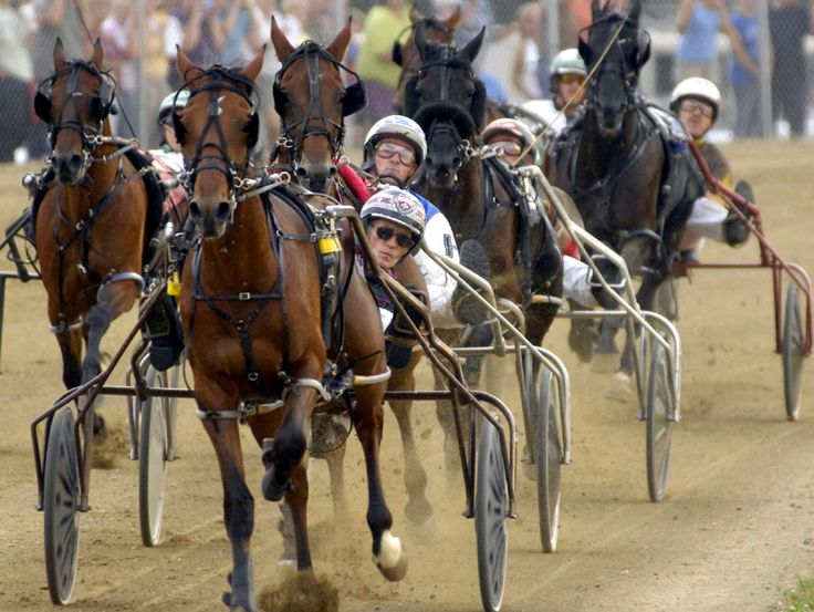 Famous harness racing drivers